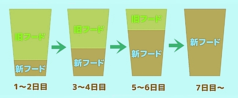 フード切り替えイメージ画像