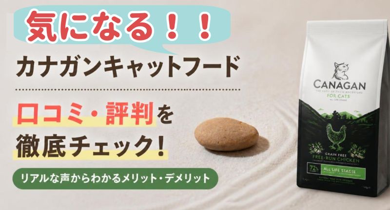 気になる口コミのイメージ画像