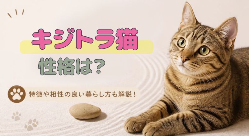 キジトラ猫