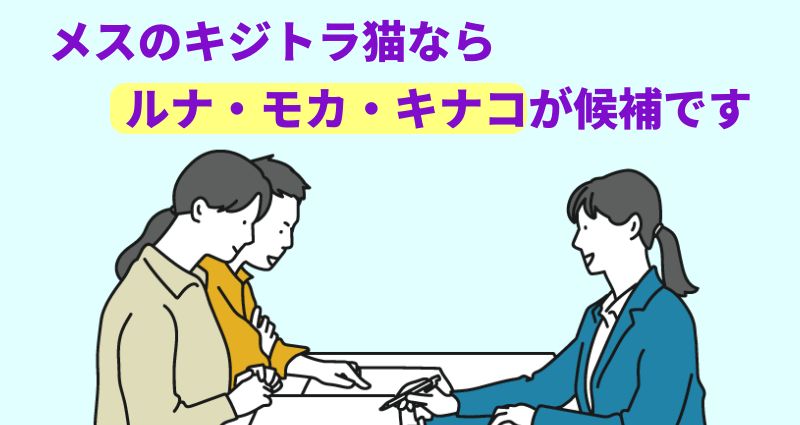 メスのキジトラ猫なら「ルナ」「モカ」「キナコ」などが候補ですと言う専門家のイラスト