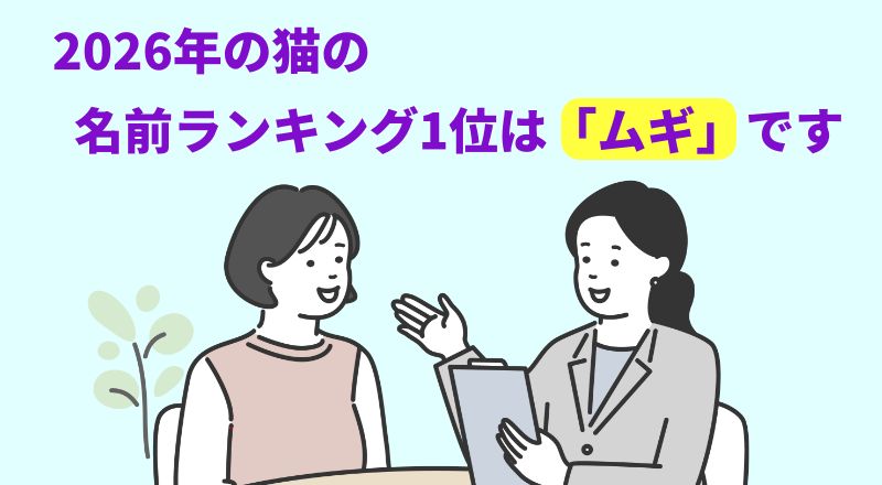 2026年の猫の名前ランキング1位は「ムギ」ですと言う専門家のイラスト