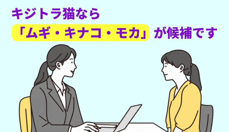 キジトラ猫なら「ムギ・キナコ・モカ」が候補ですと言う専門家のイラスト