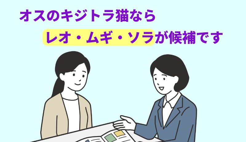オスのキジトラ猫なら「レオ」「ムギ」「ソラ」などが候補ですと言う専門家のイラスト